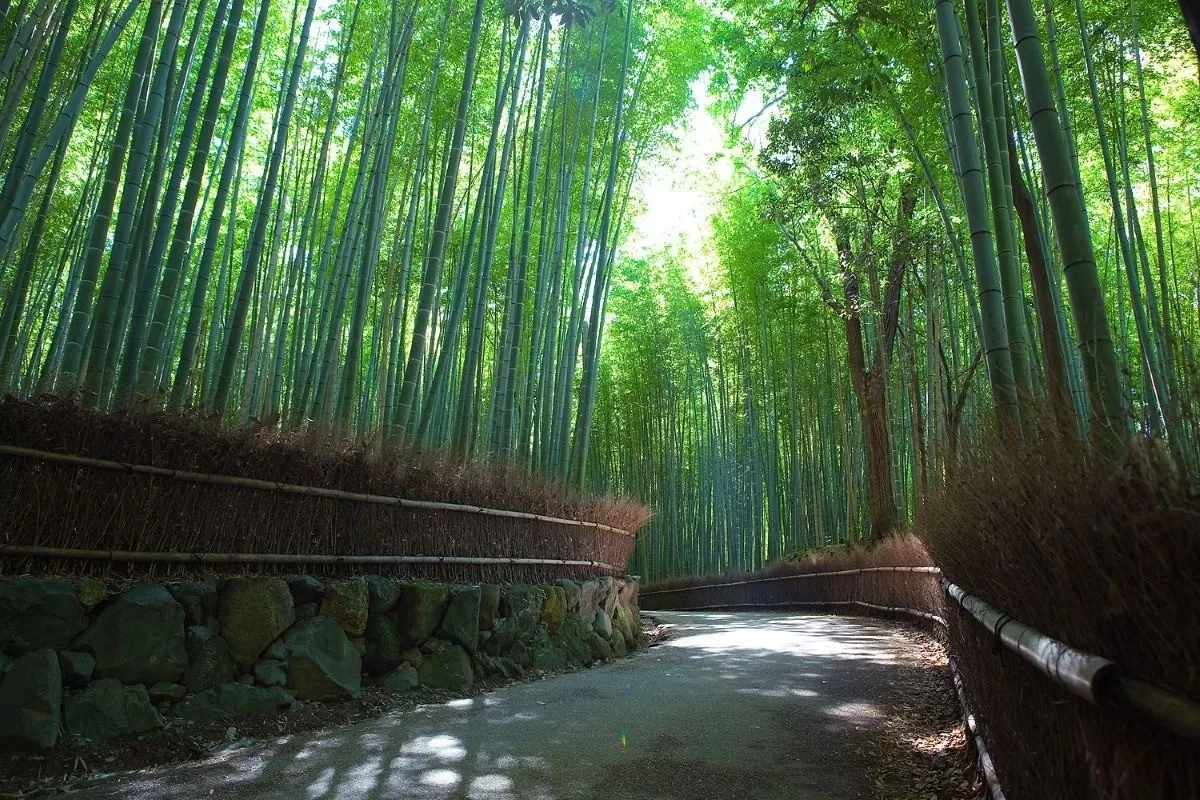 15-daagse familiereis Japan