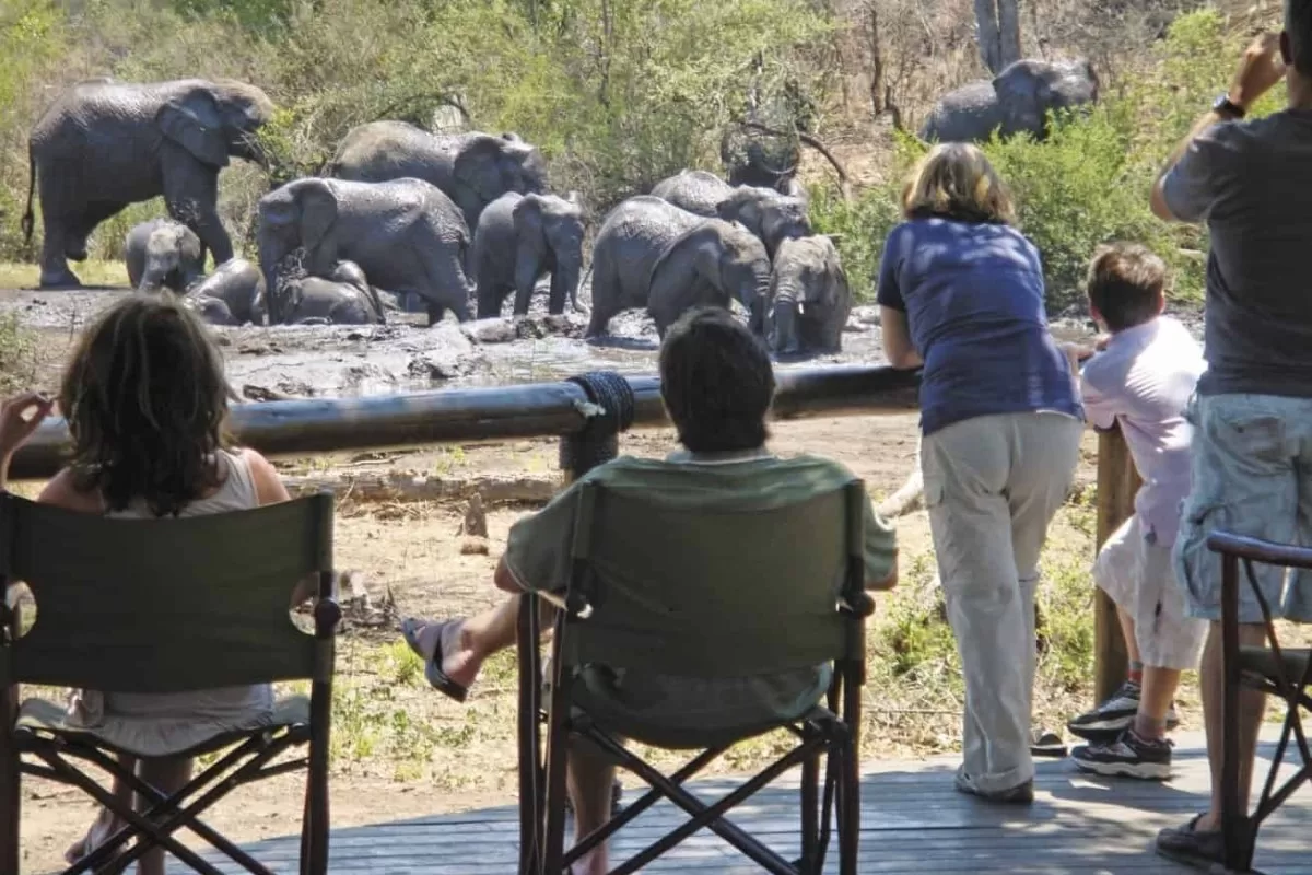 12-daagse familiereis Zuid-Afrika