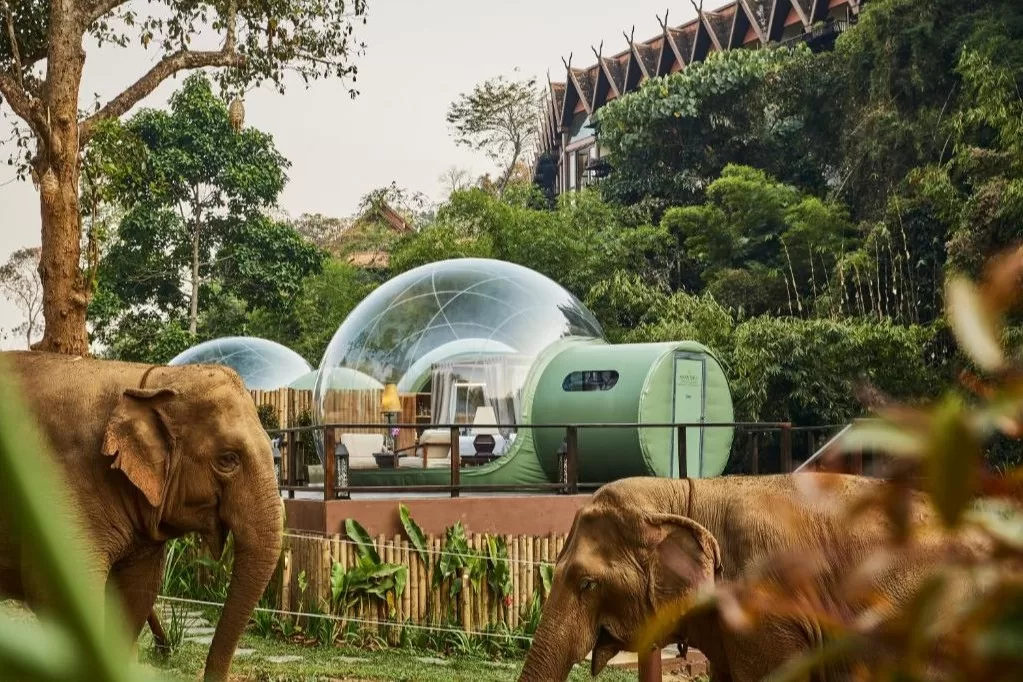16-daagse luxe familiereis Thailand