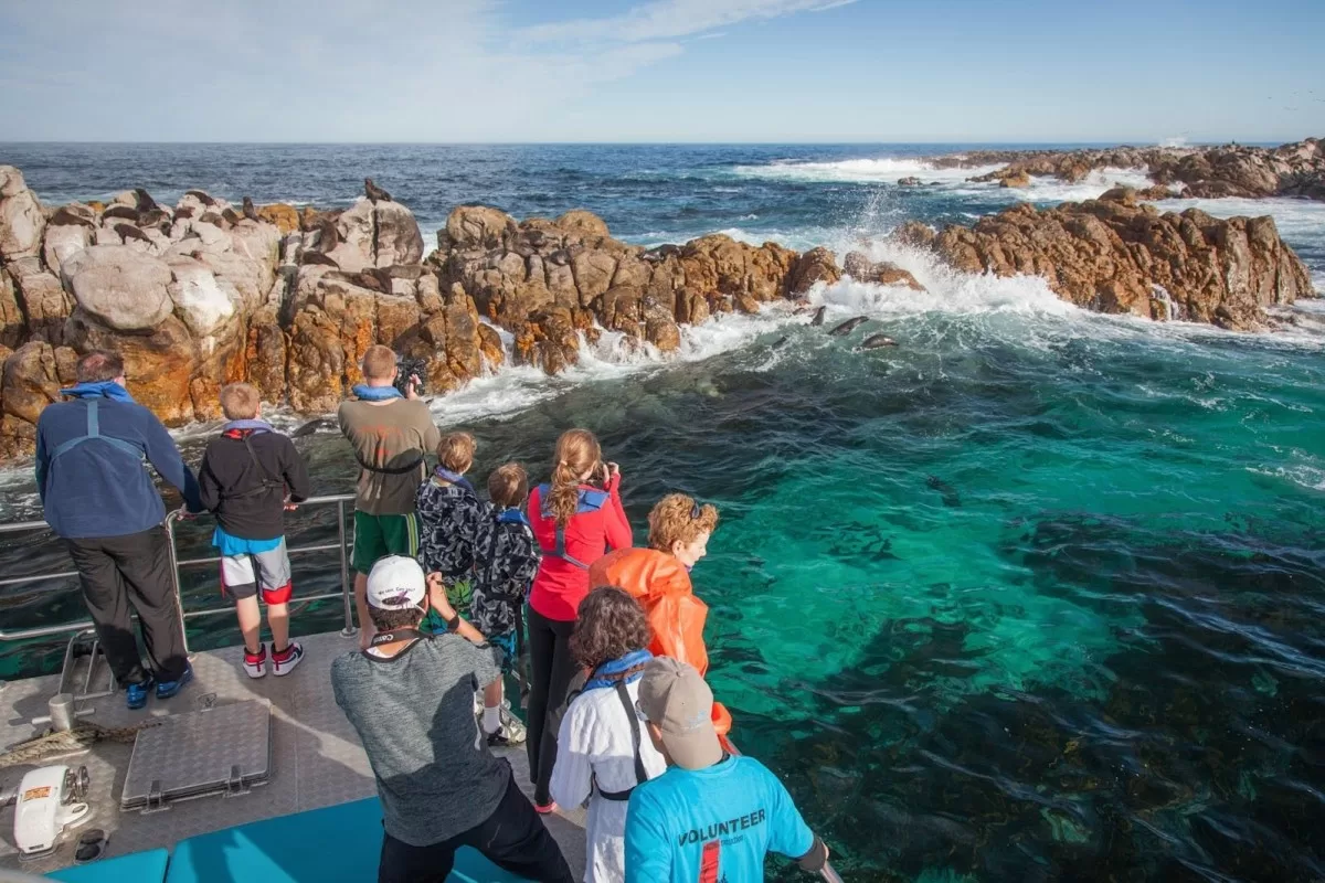 13-daagse luxe familiereis Zuid-Afrika