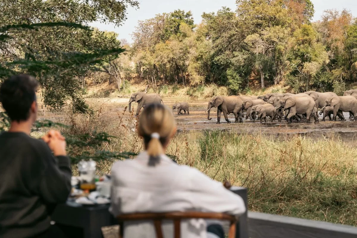 13-daagse luxe familiereis Zuid-Afrika