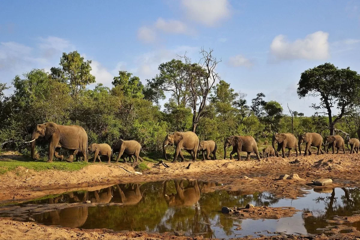 13-daagse luxe familiereis Zuid-Afrika