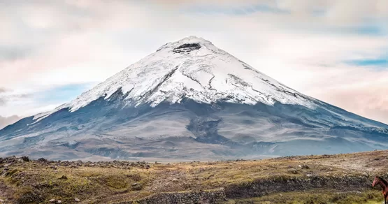 Ecuador & de Galápagos eilanden | Expeditiecruise, Amazone en Andes in één reis