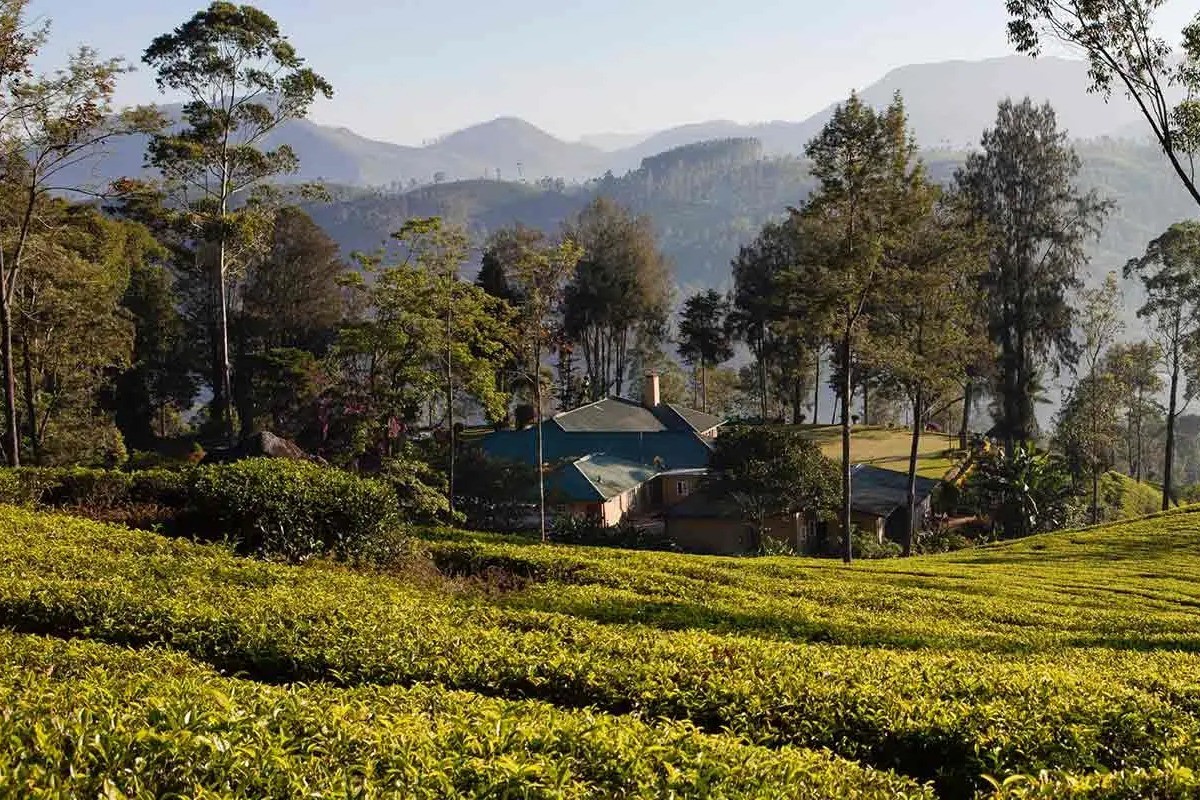 20-daagse luxe rondreis Sri Lanka en Malediven