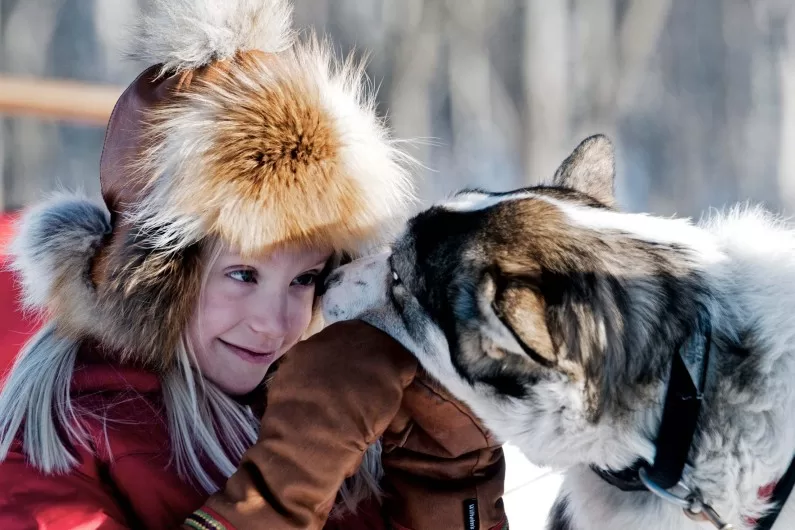 6-daagse luxe familiereis Lapland