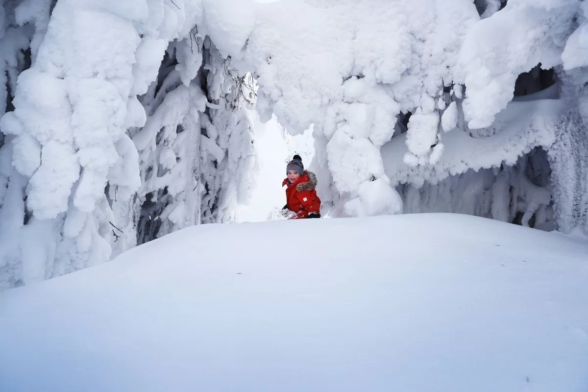 6-daagse luxe familiereis Lapland