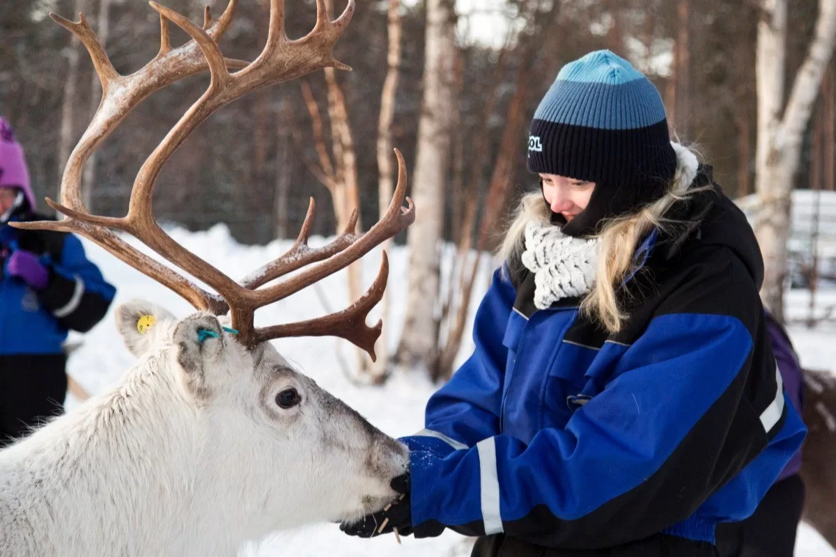 6-daagse luxe familiereis Lapland