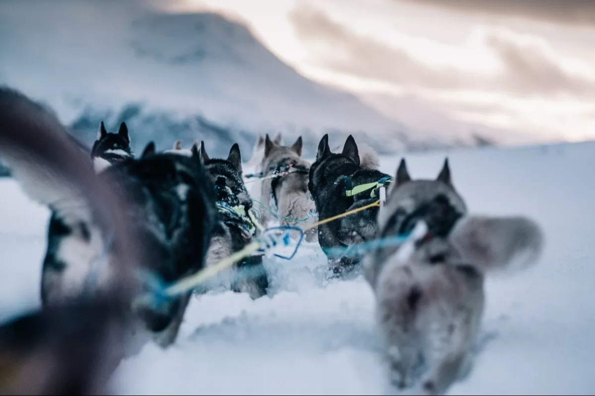6-daagse luxe familiereis Lapland
