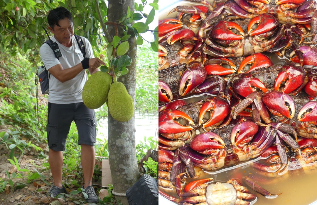Vietnam Mekong Delta Doerian krabbetjes