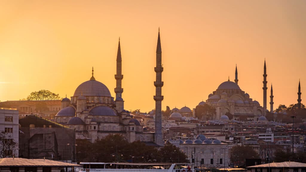 Uitzicht op moskee in Instanbul Turkije