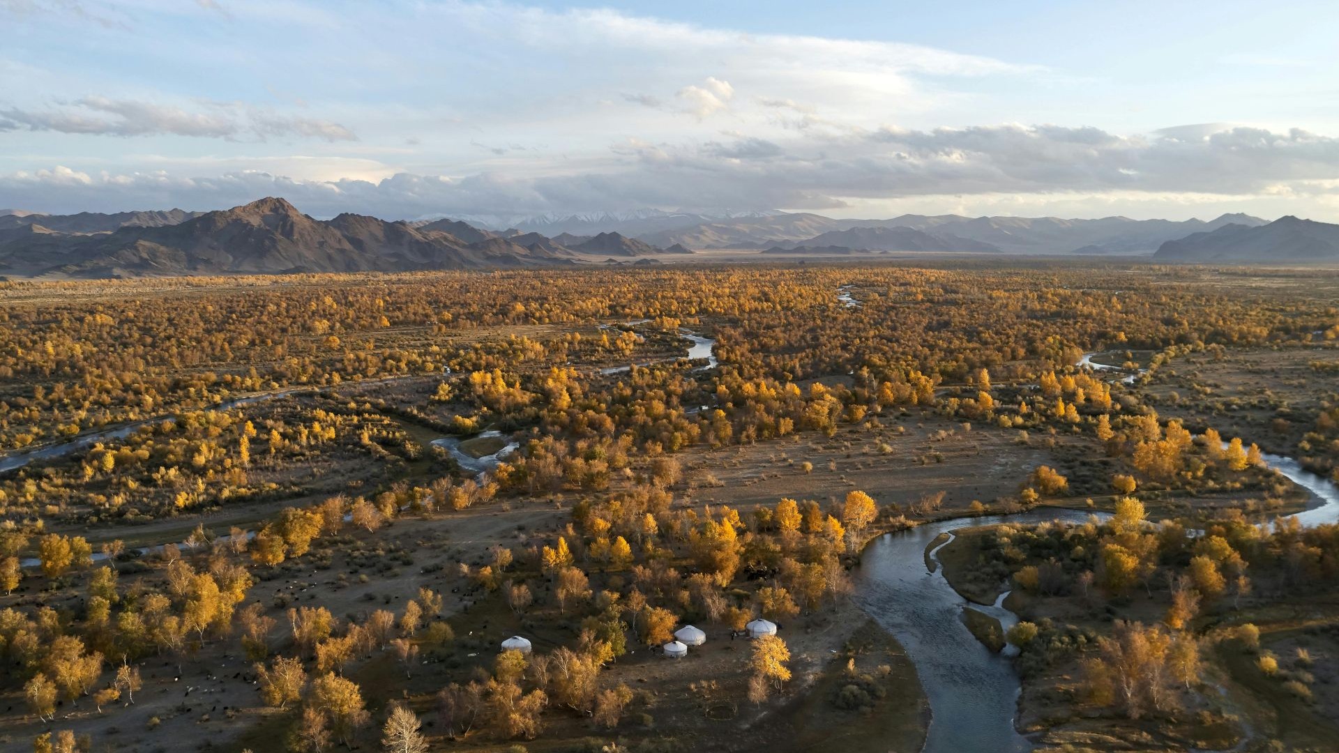 Uitgestrekt steppenlandschap bij Olgii in Mongolië met traditionele nomadententen
