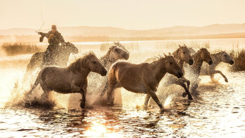 Rondreis Mongolië Exclusief met paardrijtocht