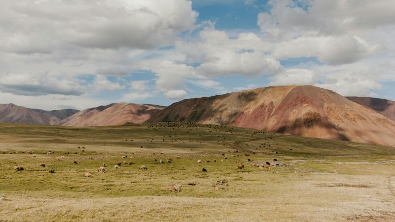 Berglandschap van de Altaj in het westen van Mongolië.